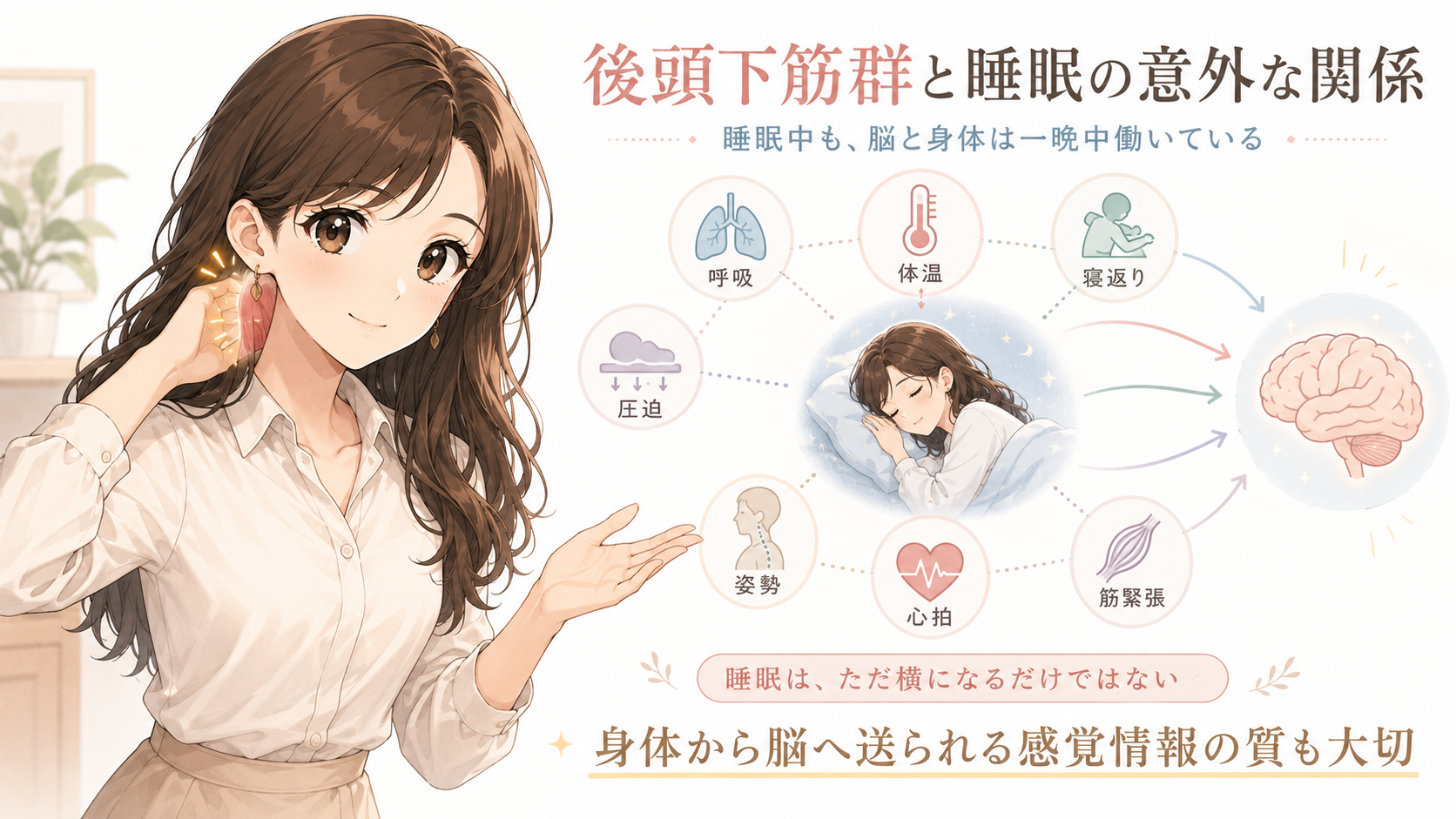 首こり・頭痛・めまい・不眠との関係｜後頭下筋群とは？｜頭のGPSと呼ばれる理由を作業療法士が解説